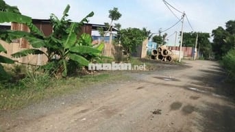 💥CHÍNH CHỦ BÁN GẤP 1150m2 ĐẤT VƯỜN BÌNH LỢI 💥