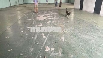 CHO THUÊ KHO,XƯỞNG 330M² GIÁ 20TR/T, HẺM 6m LÊ TRỌNG TẤN