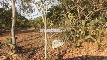 Chính chủ bán lô đất cách đường 715 chỉ 500m, Thiện Nghiệp – Mũi Né