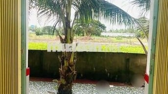 TRỌ HƯNG PHÚ CHO THUÊ 60MV 2PN. LỘ 20M. Hành lang, pk, wc