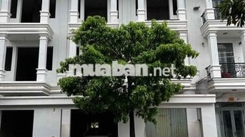 Cho thuê nhà trống làm văn phòng, nhà ở