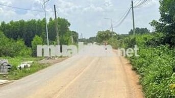 Gia Đình cần bán lô đất ngay đường Ông Binh, P, Tân Triều