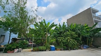 BÁN NHANH ĐẤT NỀN! DT978m2 Đường Thạnh Xuân 52 - Quận 12 - 4 TỶ 950