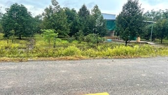 Bán Vườn Sầu Riêng có nhà cấp 4, Giá 580 Triệu, Rộng 1000m2 thổ cư sẵn