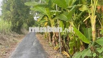 Lộ Đang Mở Rộng . Rẻ Nhất Khu vực ( Cạnh 22 cạnh 11 )