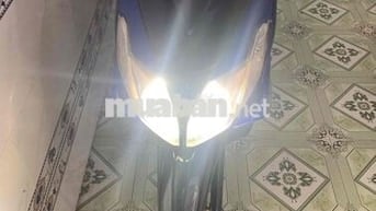 Thanh lý Luvias Fi 2015 b61  CMC