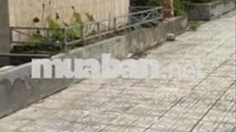 Quĩ đất lớn 5,1ha ngay trung tâm thị trấn Võ Xu