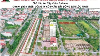 SIÊU PHẨM DỰ ÁN MỚI – LK1 DÃY A – DABACO THUẬN THÀNH – BẮC NINH