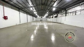 Cần cho thuê 1000m kho đg cont, pccc, trạm 250kVA