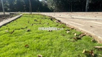 Cần sang nhanh miếng đất 250m2 nằm trên MT đường DH nhựa 32m ngay TTHC