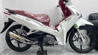 ⭐️ 𝗤𝘂𝗮́ 𝗠𝗼̛́𝗶 ( 𝗙𝘂𝘁𝘂𝗿𝗲 𝟮𝟬𝟮𝟯 𝗠𝗮̀𝘂 𝗧𝗿𝗮̆́𝗻𝗴 𝗛𝗢𝗧)