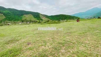 Bán lô đất 6700m2, view sông, Thôn Nam Yên & An Định, Hòa Bắc, 5.45 tỷ