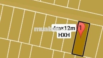 BÁN NHÀ HXH KHU PHÂN LÔ CÂO TẦNG ĐẸP AN NINH, TIỆN XÂY MỚI SIÊU PHẨM