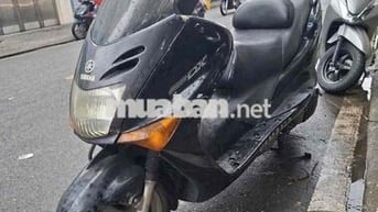 xe maạety cọp đồng hồ điện tử bstp chính chủ