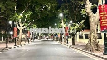 Hiếm Hot BA ĐÌNH! HÀNG SIÊU QUÝ HIẾM, LÔ GÓC - CẢ PHỐ CHỈ CÓ 1 NHÀ BÁN