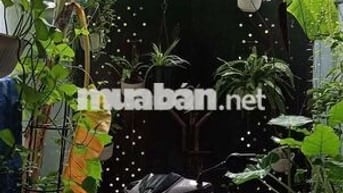 PHÒNG DÀNH CHO NGƯỜI ĂN CHAY - NGÃ TƯ BẢY HIỀN