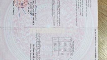 Đất mặt tiền 6-3 Đông Thạnh Hóc môn 25 dài 40