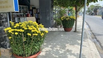 NHÀ MẶT TIỀN PHẠM THI GIẤY, 5X30M, 8.5 TỶ, HH 3%