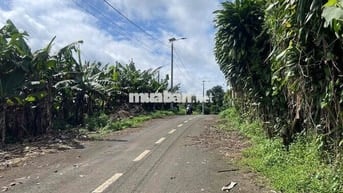 Đất Lộc An - Bảo Lâm - 158,7m2 (6mx32m) sẵn 100 thổ cư chỉ 4,4tr/m2