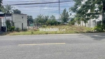 6TR/M2 ĐẤT NGAY NGÃ 3 TỈNH LỘ 7 VÀ CÂY TRÔM MỸ KHÁNH - THÁI MỸ