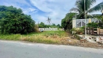 🔥 Đất mặt tiền Trương Thị Kiện – 284m² full thổ cư, sát TL7 - 1 tỷ 780