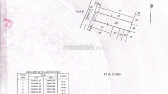 BÁN ĐẤT MẶT TIỀN XXT30, HÓC MÔN, 10X40 THỔ CƯ 100%