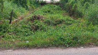 Giảm 350tr Bán Gấp đất thổ 5x25 đường 460, Trung An, Củ Chi, 