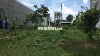 Bán Ngộp Đất Thới Hòa Bến Cát 300m2 950tr.Hợp đầu tư xây trọ cho thuê