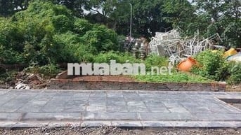 Chính chủ cần bán lô đất đẹp tại Dự Nội, Mai Lâm – Đông Anh