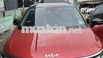 Kia Carnival 2024 Signature 2.2D - 59000 km