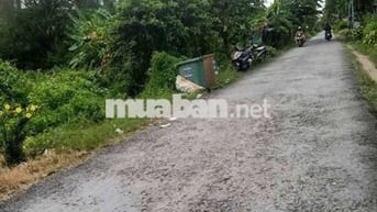 🌟 Đất hơn 1 công giáp DT903, gần TT Cái Nhum