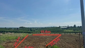 Công ty Đấu giá hợp danh Lam Sơn Sài Gòn THÔNG BÁO ĐẤU GIÁ TÀI SẢN