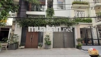 Hẻm thương mại 8m 50m2 ngang 4,6m Lý Thường Kiệt 4 tầng Hỗ trợ bank