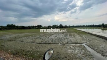 Đất Nông Nghiệp - 4907m2 - Mặt tiền đường Ba Thước - Tân Nhựt