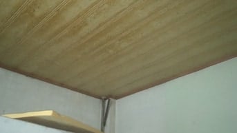 Cần tìm người ở ghép chung cho vui.