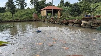 cẩn Bán 2 lô đất View sông Cần Giờ 5.000m2 và 3.300m2 giá 2tr/m2