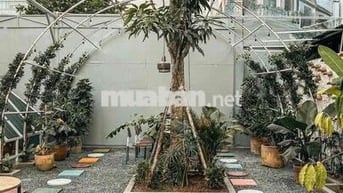 CHO THUÊ BIỆT THỰ SÂN VƯỜN CƯ XÁ BẮC HẢI NGANG 10X20M 2 TẦNG GIÁ 70TR