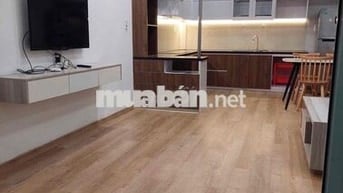 Chính chủ bán nhà 2 mê kiệt 3,5m Mai Dị, 81m2, 3pn, giá chỉ 4,5 tỷ