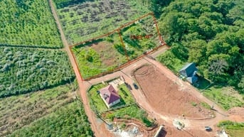  Bán nhanh 1.343m2 full thổ cư - 40x35 m - Trung Tâm Dambri TP Bảo Lộc