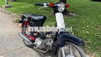 Cub 54 Dên Lớn BSTP