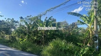 NH thanh lý giá cực tốt, MT đường nhựa, Tân Thới, Phong Điền, Cần Thơ