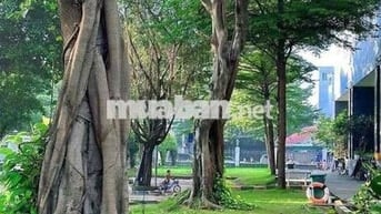 Cho thuê căn 88m2, 3pn, view xanh, Gò Vấp