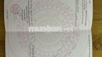 Đất rừng nở hậu,diện tích thực lớn hơn sổ,pháp lý sổ đỏ làm farmstay