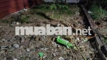 🌈 🌈 Bán 42m2 đất Hoàng Dương, Mai Đình – Ngõ Thông, Nhỏ Tiền