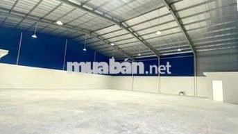 cho thuê kho mới 100% ngay Trung Tâm Hành Chính Dĩ An