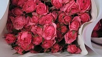 Cần tuyển nhân viên bán hàng tại quầy