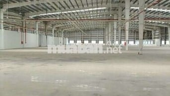 Xưởng trong KCN Tân Phú Trung củ Chi TP HCM