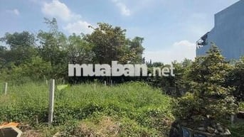 BÁN ĐẤT THỔ CƯ NGANG 5m HÀ HUY GIÁP THẠNH LỘC QUẬN 12