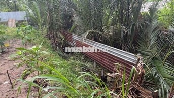 Đất sổ riêng,tiếp giáp Công Viên,gần cầu Rach Tôm, Nhơn Đức.