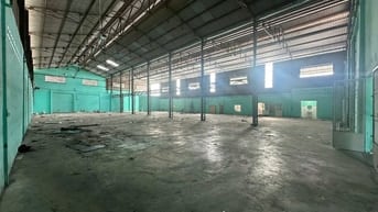 Cho thuê Kho chứa hàng Đường Bùi Cẩm Hổ, Phường Tân Thới Hòa, Tân Phú